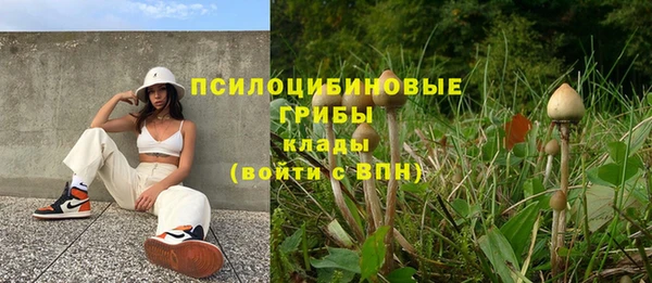 2c-b Алзамай