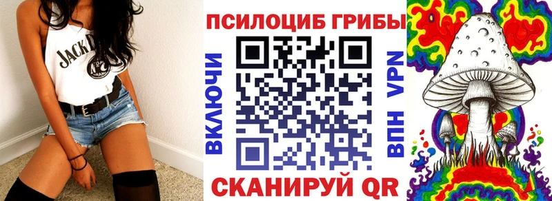 Галлюциногенные грибы Psilocybe  наркота  Иланский 